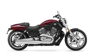 V-Rod Muscle<sup>®</sup> - Μοτοσικλετες 2016