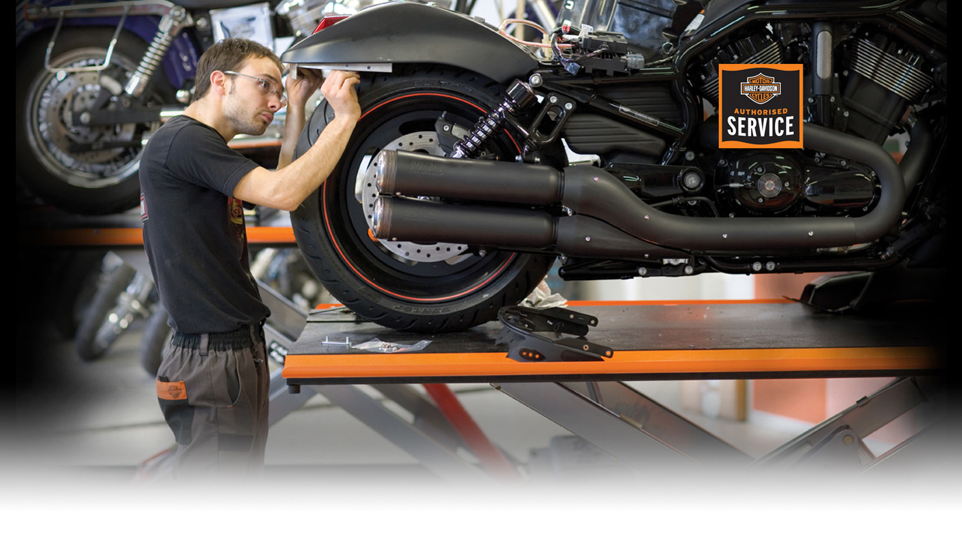 Εξουσιοδοτημενο service